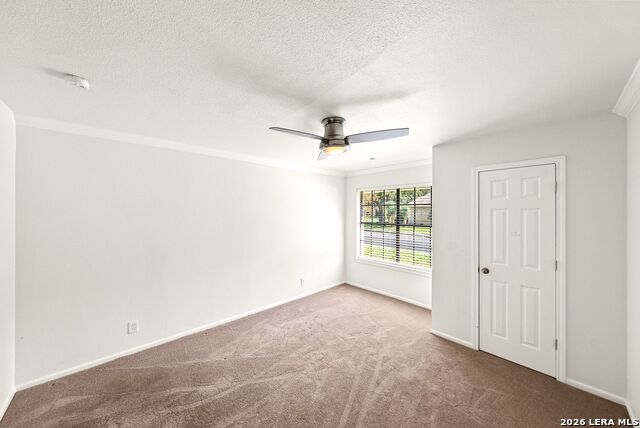 1117 White Pine St Property Photo 27