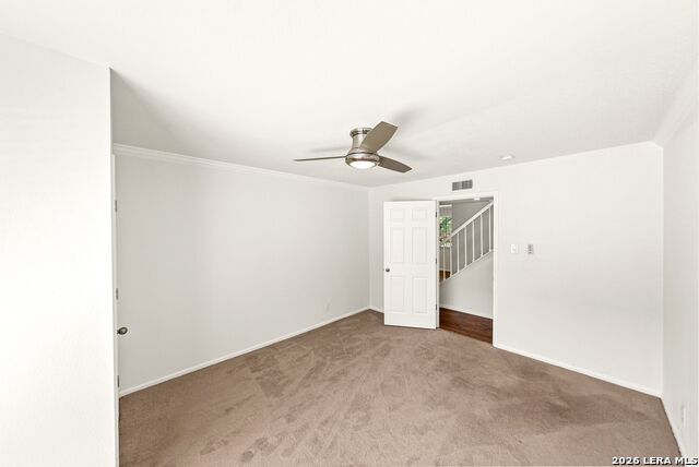 1117 White Pine St Property Photo 28