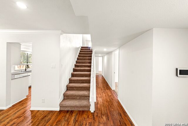 1117 White Pine St Property Photo 30