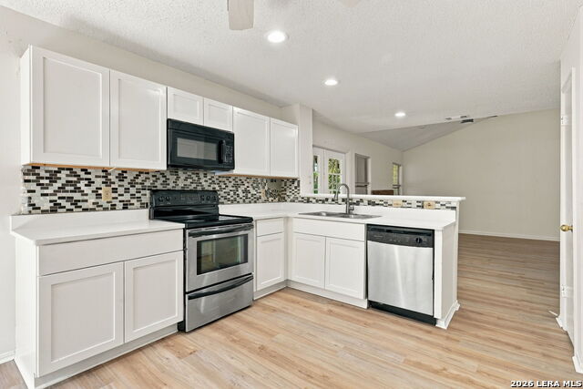 6923 Raintree Forest Property Photo 12