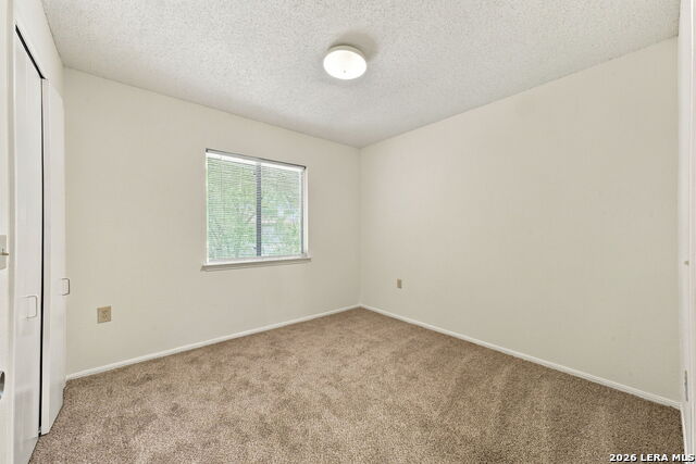 6923 Raintree Forest Property Photo 20