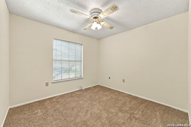 6923 Raintree Forest Property Photo 22
