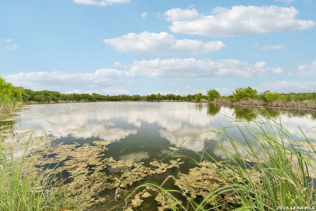 4318 Admirals Bnd Property Photo 31
