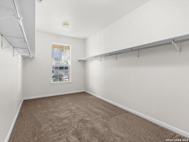 144 Springtree Cv Property Photo 18