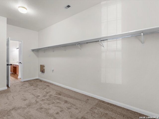 144 Springtree Cv Property Photo 19