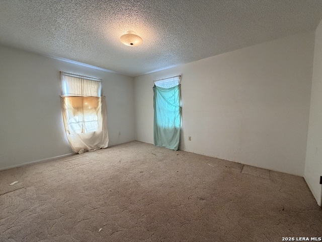 119 Low Meadow Dr Property Photo 11