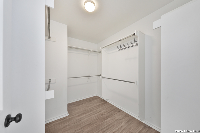 13147 Regency Frst Property Photo 34