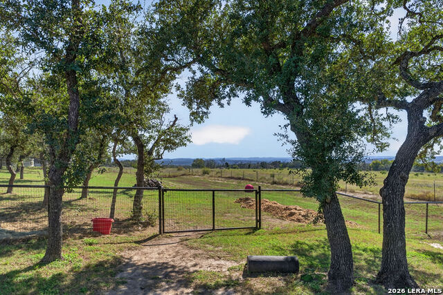 113 Greco Bend Property Photo 28