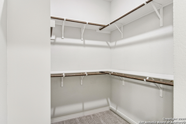10222 Briarwood Nook Property Photo 39