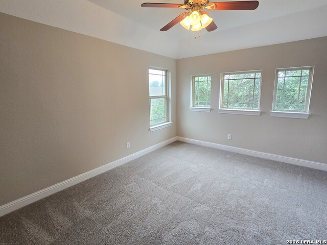 5210 Anemone Property Photo 23