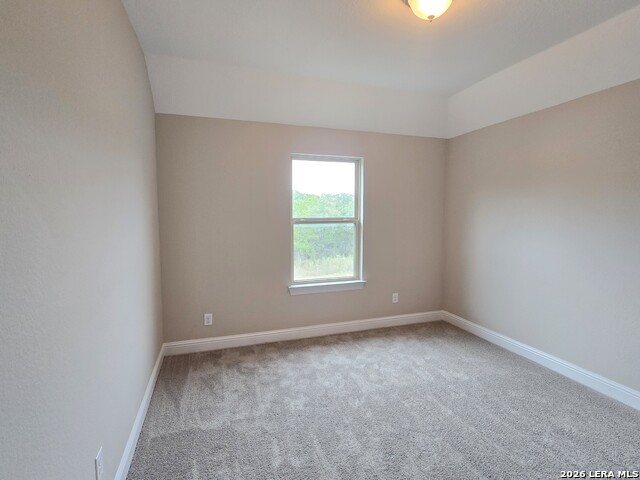 5210 Anemone Property Photo 25