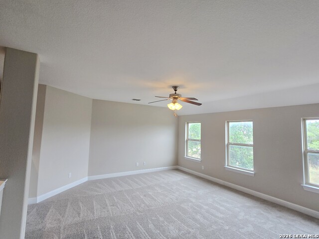 5210 Anemone Property Photo 26