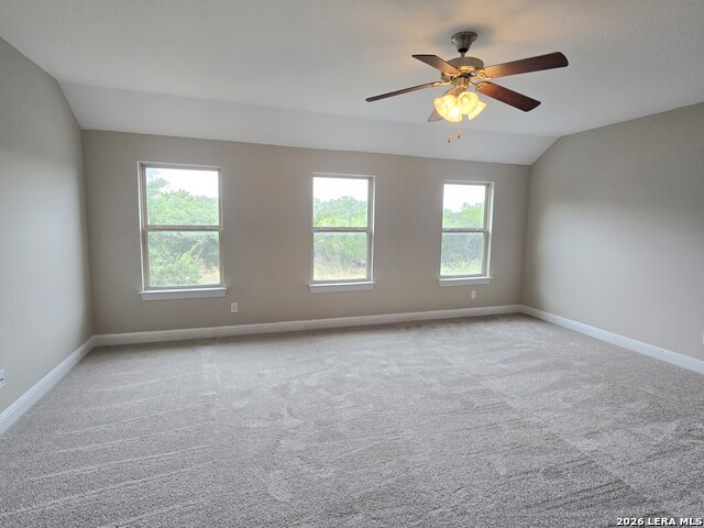 5210 Anemone Property Photo 27