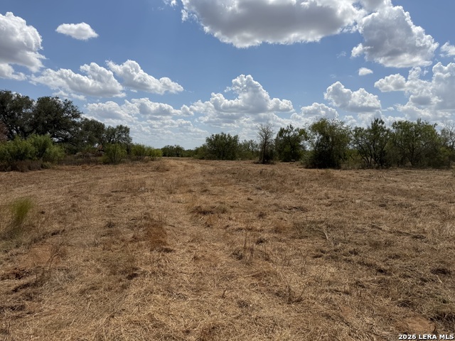 10640 La Vernia Rd Property Photo 4