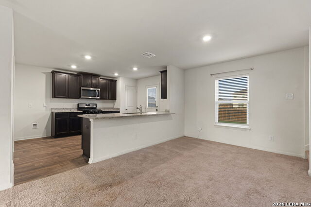 15210 Escalante Pass Property Photo 11
