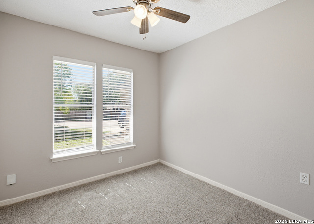 10006 Windburn Trl Property Photo 17