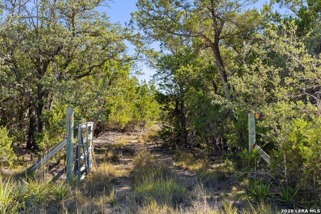 1770 Divide Pass Property Photo 4