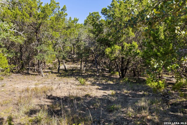 1770 Divide Pass Property Photo 8