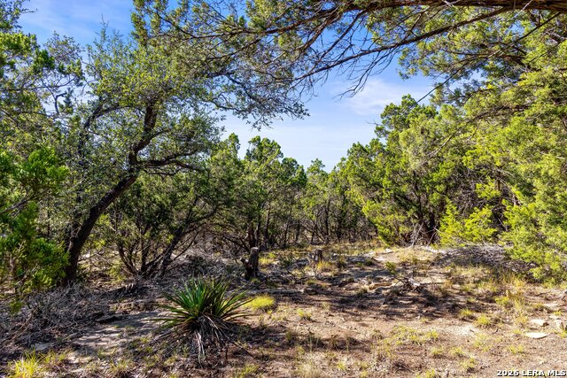 1770 Divide Pass Property Photo 12