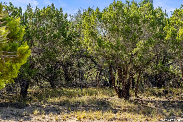 1770 Divide Pass Property Photo 16