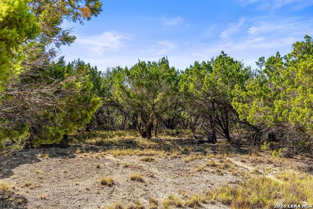 1770 Divide Pass Property Photo 19