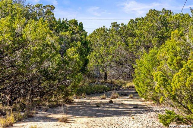 1770 Divide Pass Property Photo 21
