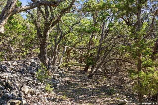 1770 Divide Pass Property Photo 24