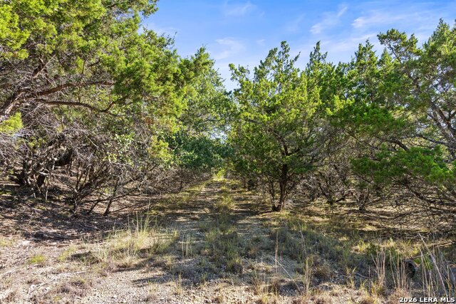 1770 Divide Pass Property Photo 28