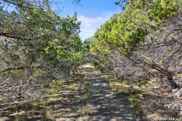 1770 Divide Pass Property Photo 30