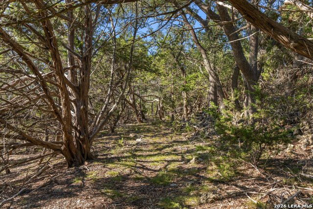 1770 Divide Pass Property Photo 32