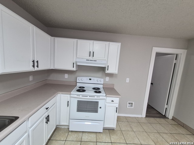 8043 Chestnut Manor Dr. Property Photo 13