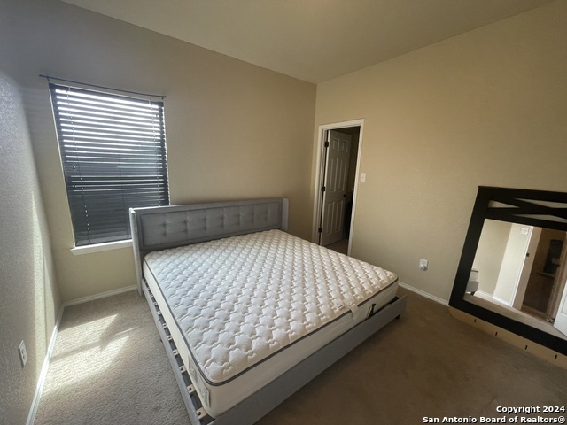 11402 Roadrunner Property Photo 15