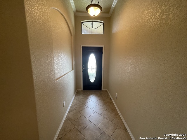 11402 Roadrunner Property Photo 16
