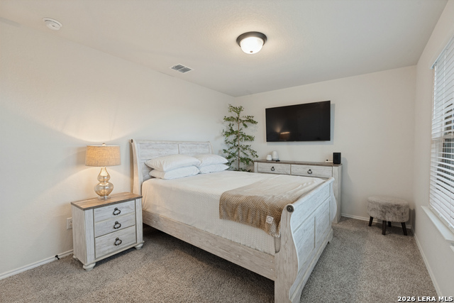 3429 Meteor Night Property Photo 13
