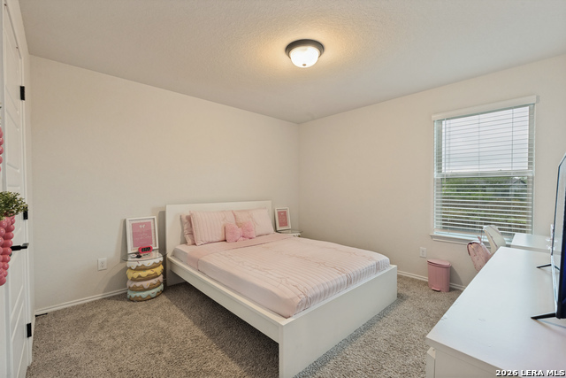 3429 Meteor Night Property Photo 16