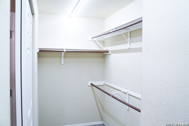 11719 Wayward Daisy Property Photo 17