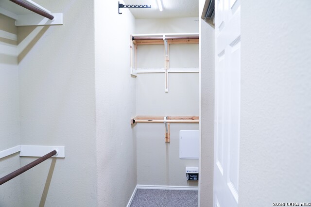 11719 Wayward Daisy Property Photo 18
