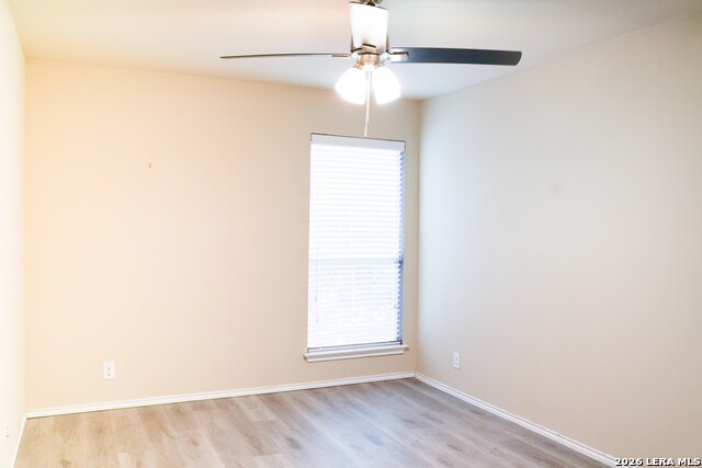 11719 Wayward Daisy Property Photo 21