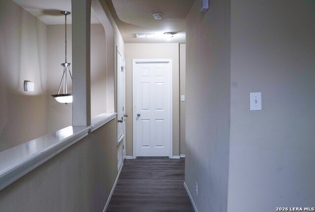 11719 Wayward Daisy Property Photo 26