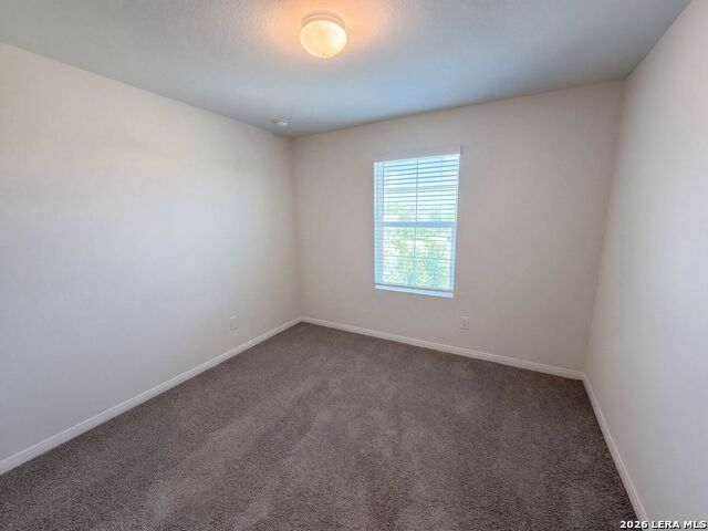 817 Margay Loop Property Photo 11