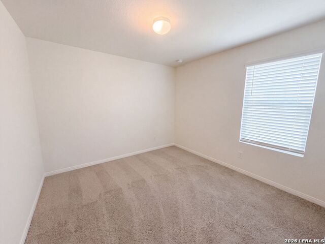 817 Margay Loop Property Photo 12