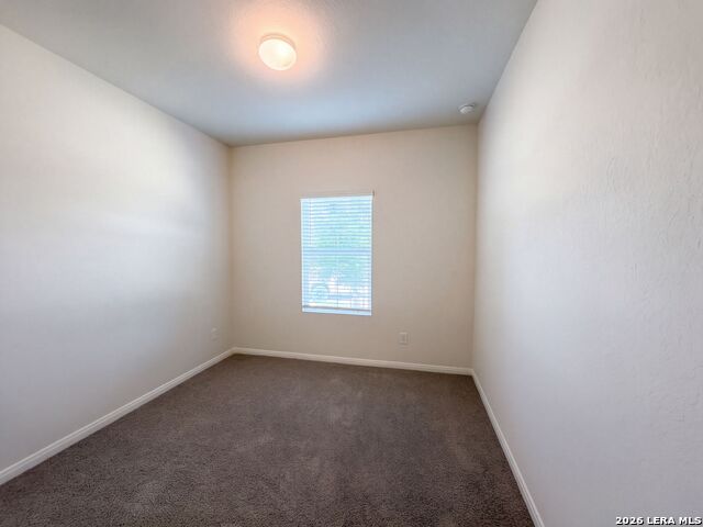 817 Margay Loop Property Photo 13