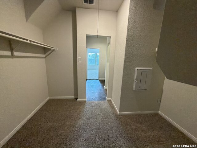 817 Margay Loop Property Photo 18