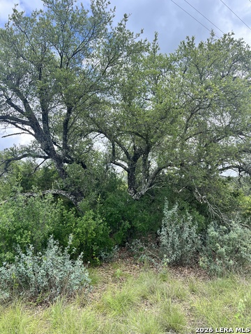 00 Tbd Property Photo 13