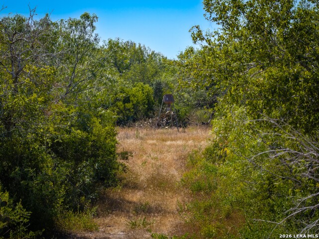 000 Cr 341 Property Photo 18