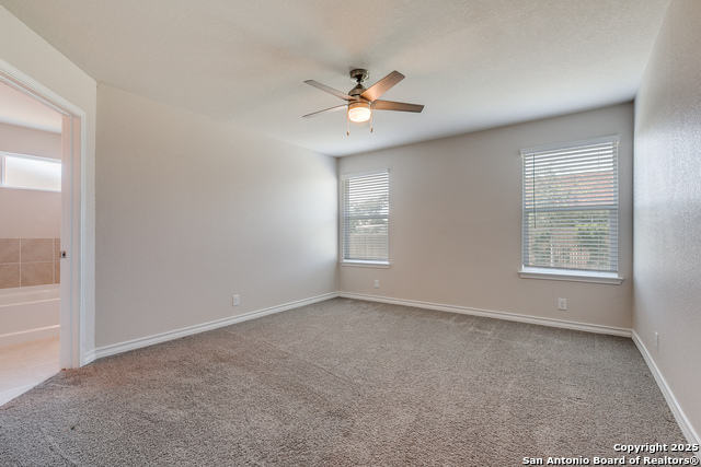 13906 Trinity Cv Property Photo 12