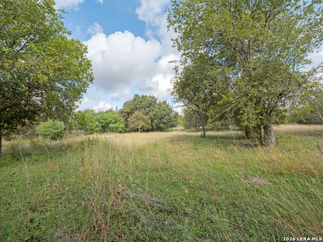 1365 Grosenbacher Rd Property Photo 4