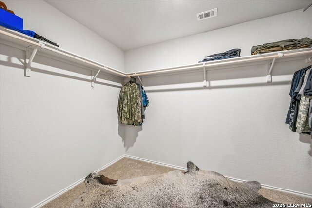 509 Chaco Loop Property Photo 8
