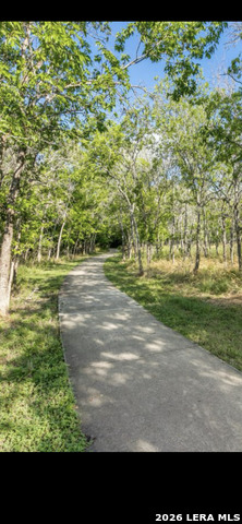 11009 Forest Crown Property Photo 17