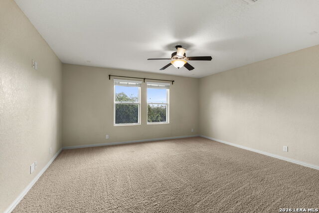 12114 Carson Cv Property Photo 17